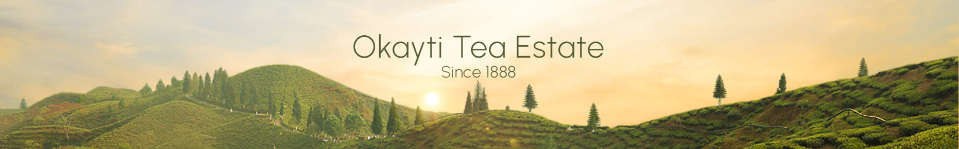 Okayti Tea Estate